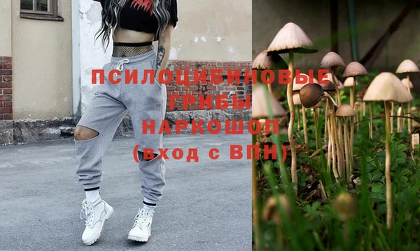 шишки Алексеевка