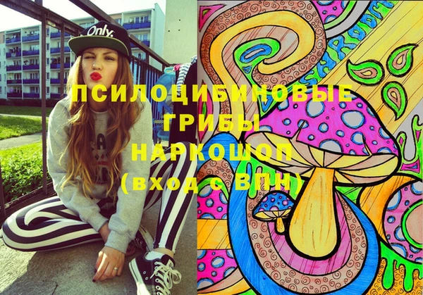 шишки Алексеевка