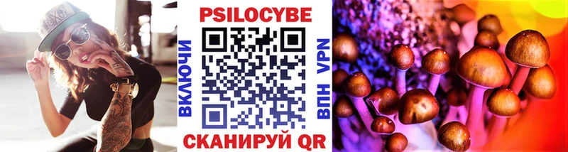 Галлюциногенные грибы Psilocybine cubensis  где можно купить   darknet телеграм  Поронайск 